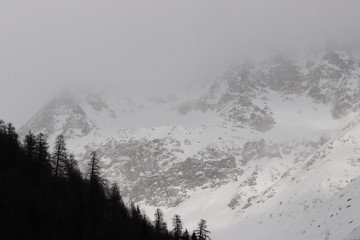 Obraz premium fog in mountains