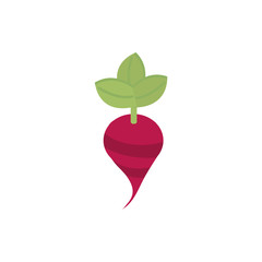 farm beet vegetable harvest agriculture isometric icon