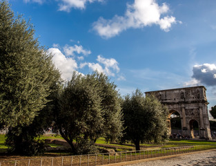 Arch of Claudius behind olive trees in Rome