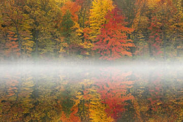 Foggy autumn landscape of the shoreline of West Gilkey Lake with mirrored reflections in calm water, Michigan