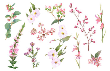 Hand drawn watercolor set with pink bloomy branches, herbs and leaves isolated on a white background. Ideal for creating invitations, greeting cards. Floral illustration. Watercolor botanic collection