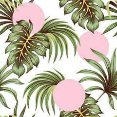 Feuilles de palmier vert tropical et feuilles de monstera transparente motif rond rose fond. Fond d& 39 écran de la jungle exotique.