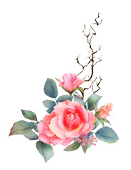 Hand drawn watercolor arrangement with picturesque pink roses, rosebuds, leaves and curly branch isolated on a white background.Floral botanical illustration for wedding invitations, cards,patterns