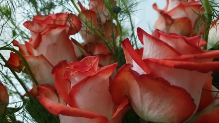 bouquet of red roses