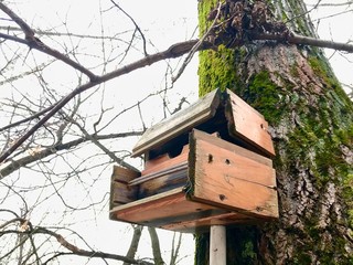 The feeder for the birds for the winter.
