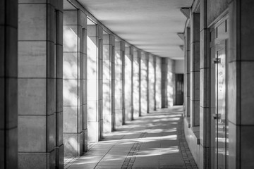 urban colums 