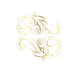 Vector hand-painted vintage baroque ornament. 