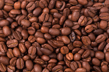 roasted coffee beans, can be used as background