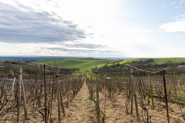 Fototapeta na wymiar View of vineyards and farms in the Svatoborice region of Moravian Tuscany during a sunny autumn day in the background blue sky full of clouds and rugged wavy landscape full of green color.