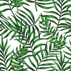 Tropical Hawaiian palm leaves floral seamless pattern white background. Exotic jungle wallpaper.