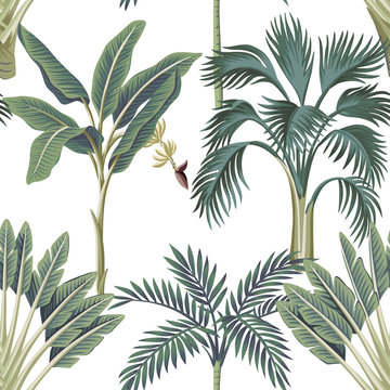 Tropical vintage palm trees, banana tree floral seamless pattern white background. Exotic botanical jungle wallpaper.