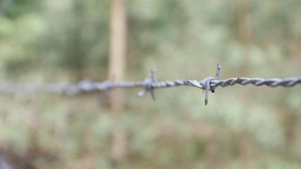 barbed wire on a background of trees