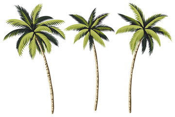 Clipart floral de palmiers vintage tropicaux. Imprimé botanique exotique.