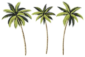 Deurstickers Botanische print Tropische vintage palmbomen bloemen illustraties. Exotische botanische print.