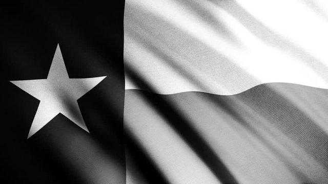Realistic black and white Texas United States of America state flag waving in the wind, seamless loop. Animation. Highly detailed fabric texture of flying flag with a star, monochrome.