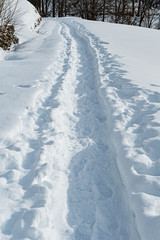 Fototapeta na wymiar Schneeweg bei Catto, Leventina, Tessin, Schweiz