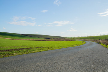 Naklejka premium View of the main road leading to vineyards and farms in the Svatoborice region of Moravian Tuscany during a sunny autumn day in the background a blue sky full of clouds.
