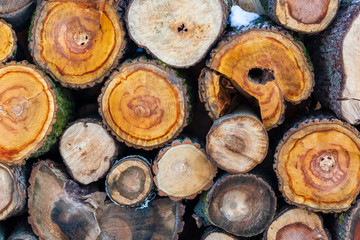 Stacked wood covered with snow. Background. A woodpile of dry fire woods in the winter. Stack of fire wood with snow. Winter fire wood provisions. Row of fire wood stock for winter. Winter.