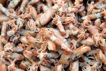 Dried cuttlefish in a market