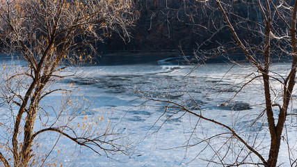 Trees & Lake in Winter