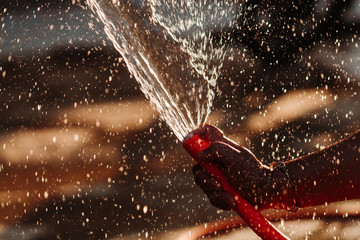 Closeup shot of a hand holding water hose