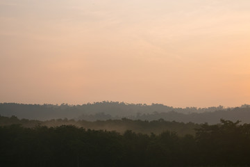 Trees in the morning while the sun is shining in the morning light at Jedkod-Pongkonsao Natural Study in Saraburi Thailand