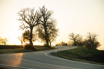 Fototapeta premium A road in the South Moravia region during sunset with rays bouncing off the asphalt against the backdrop of a few trees and an orange sky with the sun a few moments before engaging beyond the horizon.