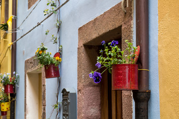 Plant decoration of a street, Bosa, Sardinia