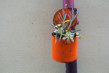 Plant decoration of a street, Bosa, Sardinia