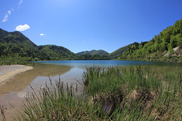 Fototapeta na wymiar Weitsee Reit im Winkel / Natursee Bayern mit blauem Himmel