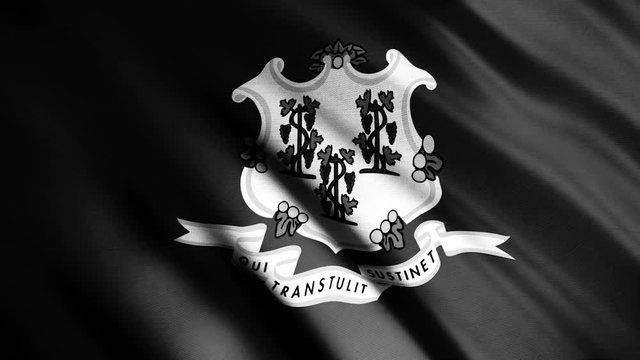 Realistic black and white waving state flag of Connecticut, United States of America, seamless loop. Animation. Close up of monochrome flag texture with ripples.