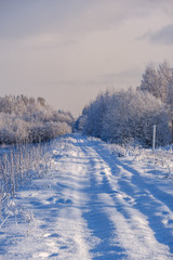 car tracks in the snow on the winter road in sunny day