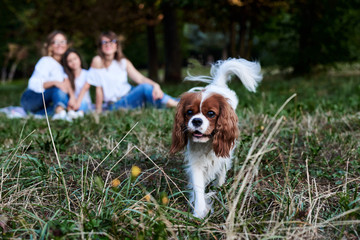 Three girls, wearing white shirts and blue jeans, sitting on grass, playing with small dog in park....