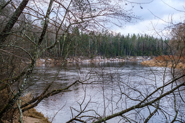 half frozen river in late autumn with trees with no leaves