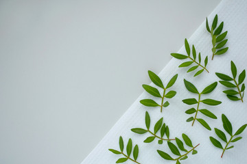 Top view organic materials. Natural flat lay. Small green branches at white towel grey background with copy space. Modern style of simplicity and minimalism.