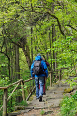 wanderer im wald