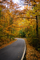 autumn road