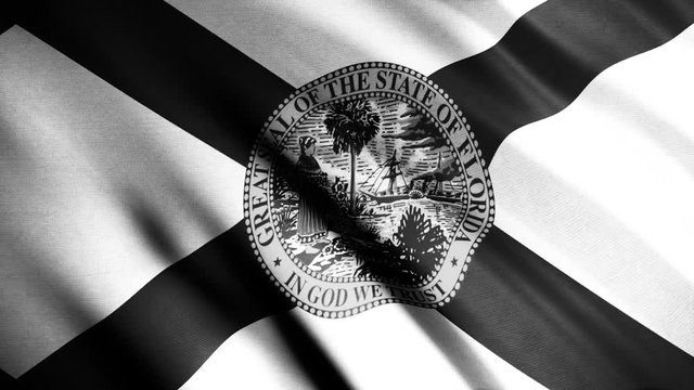 Florida realistic black and white flag texture with ripples, United States of America, seamless loop. Animation. Close up of the abstract fluttering texture of the flag, monochrome.