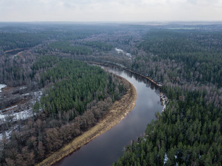 Fototapeta na wymiar River in winter forest with green trees from above. Aerial drone image of river Gauja in Latvia