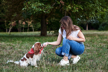 Young blond woman, kneeling down, holding her dog's paw in park in summer. Dog owner training her...