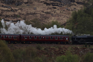 hogwarts train