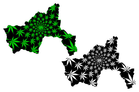 Parwan Province (Islamic Republic of Afghanistan, Provinces of Afghanistan) map is designed cannabis leaf green and black, Parvan map made of marijuana (marihuana,THC) foliage....