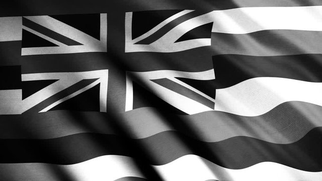 Abstract monochrome Hawaii flag fluttering in the wind, seamless loop. Animation. Waving in the breeze realistic texture of the flag one of United States of America.