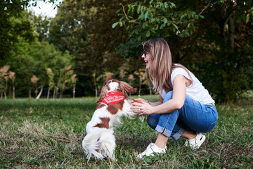 Young blond woman with Cavalier king charles spaniel, training in park in summer. Dog owner,...