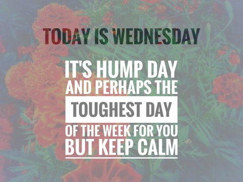Image with wordings or quotes about wednesday, hump day