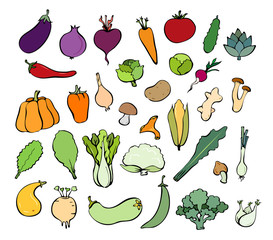 Collection of colorful vegetables and mushrooms.