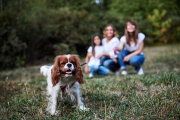 Two young blond women and one brunette girl, wearing casual clothes, kneeling on green grass in park, holding cavalier king charles spaniel, on a leash. Dog in front and three girls at the back.