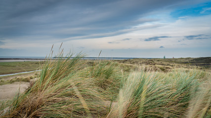 The Beach in Noordwijk, Netherlands