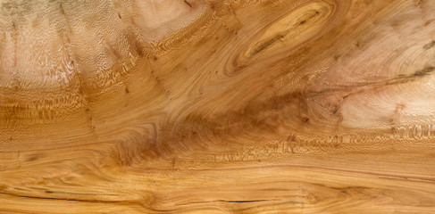 London Plane Timber