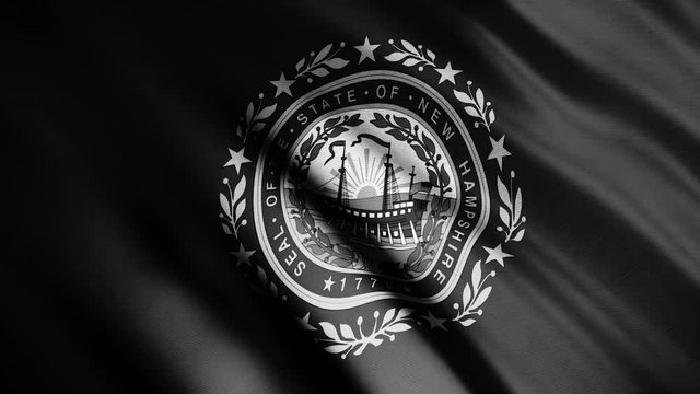 New Hampshire, State Flag in America, abstract fabric waving in the wind, monochrome. Animation. Realistic flag as the background with many flowing ripples, seamless loop.